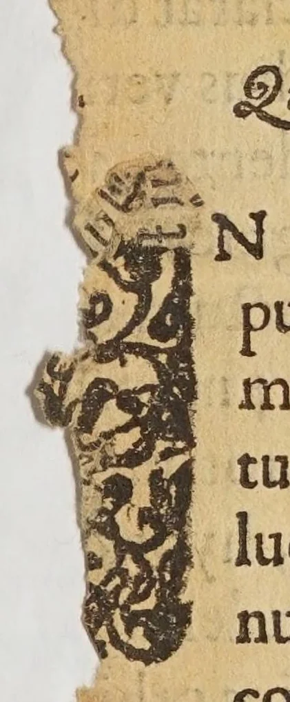 An illustration from Tabulae regiae diuisionum duodecim partium coeli, et syderum obuiationum, ad mentem Ptolemaei, 1628, leaf 13