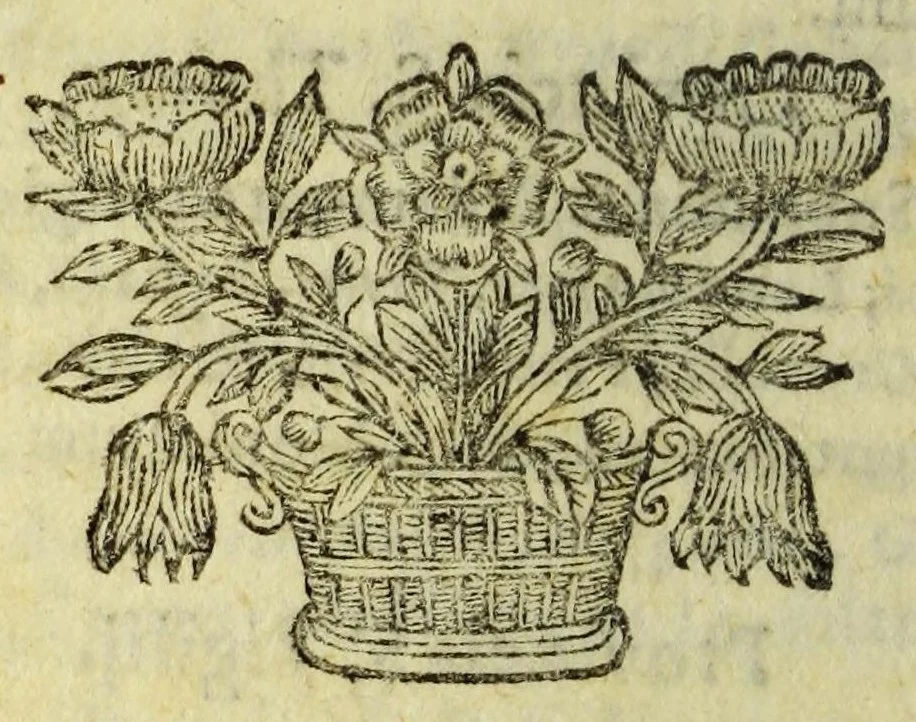 An illustration from Tabvla geographica totiva seraphici ordidinis FF. Minorvm S. Francisci, : sub generali ministro reverendissimo patre in Christo P.F. Josepho Ximenez de Samaniego ... exceptis rr.pp. capvccinis conventualibus, tertiariis & monialibus quibuscunque, extra præfati Generalis Ministri gubernium ac sigillum, sub S.P.N. Francisci invocatione, directione vel institutione quomodocunque Deo servientibus., 1680, leaf 28
