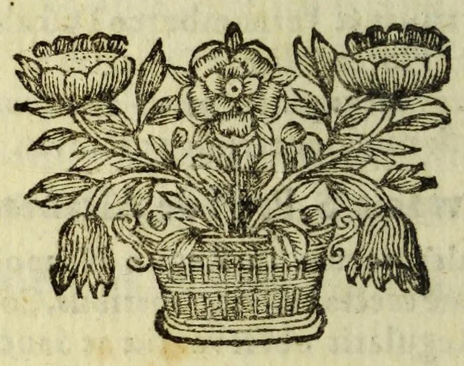 An illustration from Tabvla geographica totiva seraphici ordidinis FF. Minorvm S. Francisci, : sub generali ministro reverendissimo patre in Christo P.F. Josepho Ximenez de Samaniego ... exceptis rr.pp. capvccinis conventualibus, tertiariis & monialibus quibuscunque, extra præfati Generalis Ministri gubernium ac sigillum, sub S.P.N. Francisci invocatione, directione vel institutione quomodocunque Deo servientibus., 1680, leaf 50
