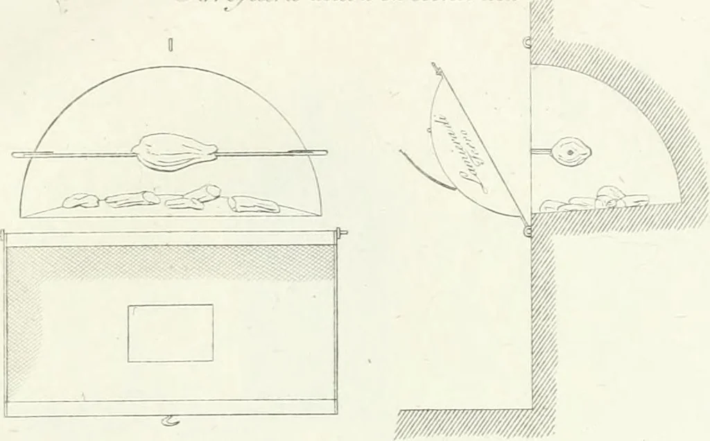 An illustration from Taccuino di disegni di ogni specie, 1811, leaf 102