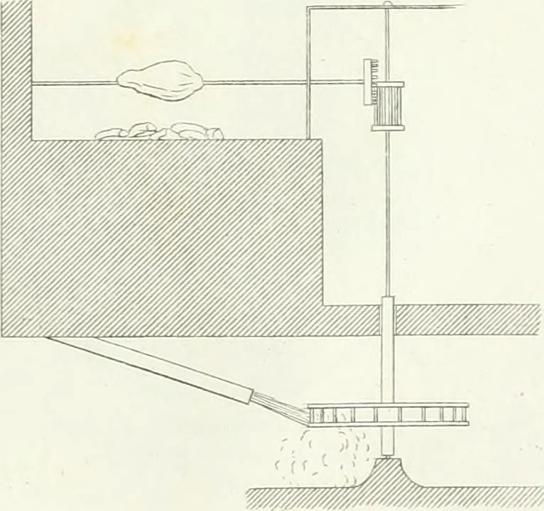 An illustration from Taccuino di disegni di ogni specie, 1811, leaf 102