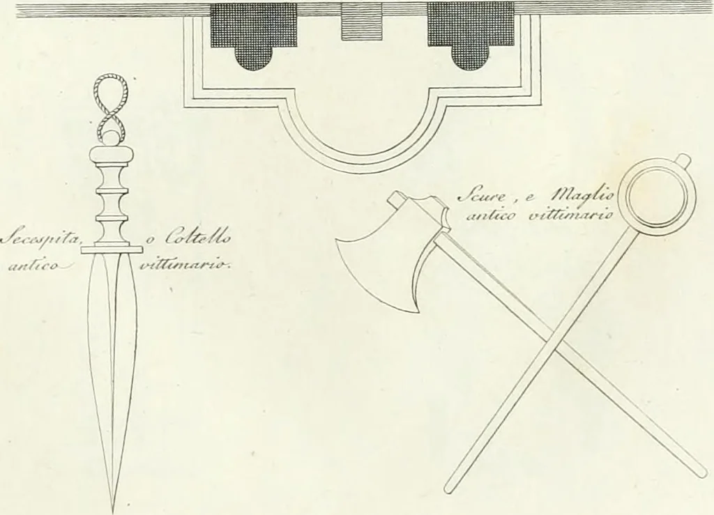 An illustration from Taccuino di disegni di ogni specie, 1811, leaf 20