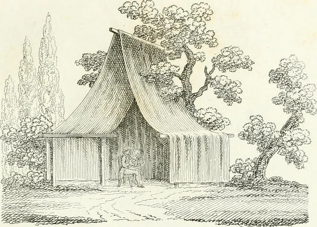 An illustration from Taccuino di disegni di ogni specie, 1811, leaf 42