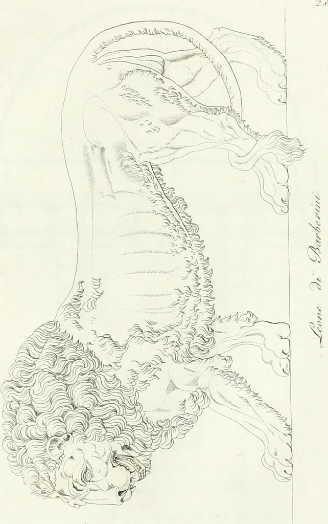 An illustration from Taccuino di disegni di ogni specie, 1811, leaf 62