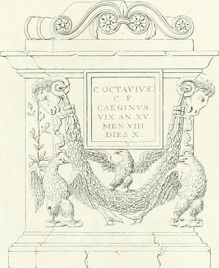 An illustration from Taccuino di disegni di ogni specie, 1811, leaf 66