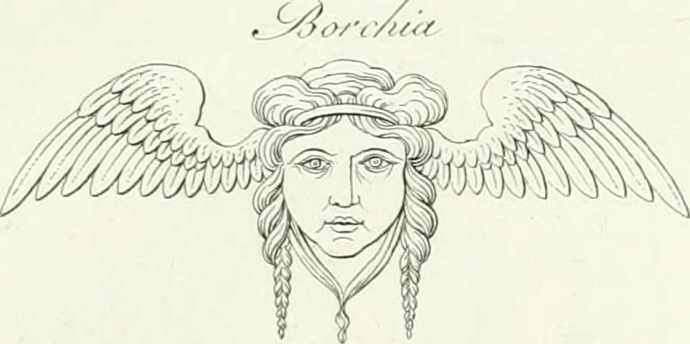 An illustration from Taccuino di disegni di ogni specie, 1811, leaf 74