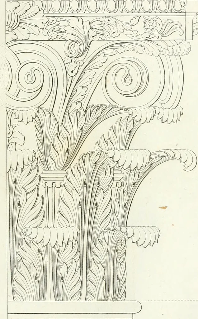 An illustration from Taccuino di disegni di ogni specie, 1811, leaf 76