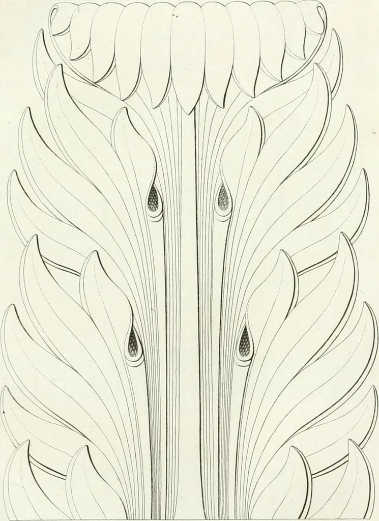 An illustration from Taccuino di disegni di ogni specie, 1811, leaf 78