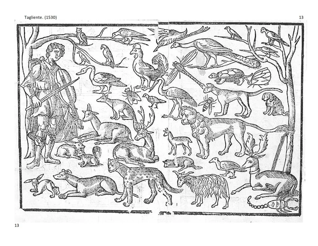 An illustration from Opera nuova che insegna a le donne cusire, a racammare, & a disegnare a ciascuno: et la detta opera sara di grande utilita ad ogni artista, per esser il disegno a ognuno necessario, la qual intitolata esempio di recammi, 1530, leaf 12