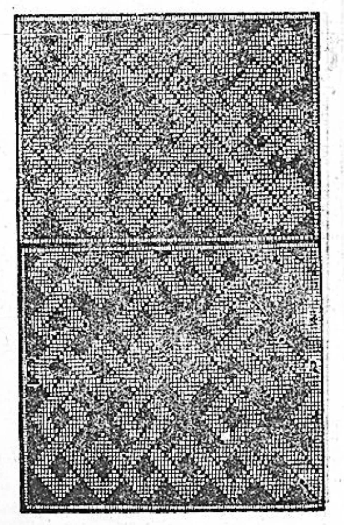 An illustration from Opera nuova che insegna a le donne cusire, a racammare, & a disegnare a ciascuno: et la detta opera sara di grande utilita ad ogni artista, per esser il disegno a ognuno necessario, la qual intitolata esempio di recammi, 1530, leaf 2
