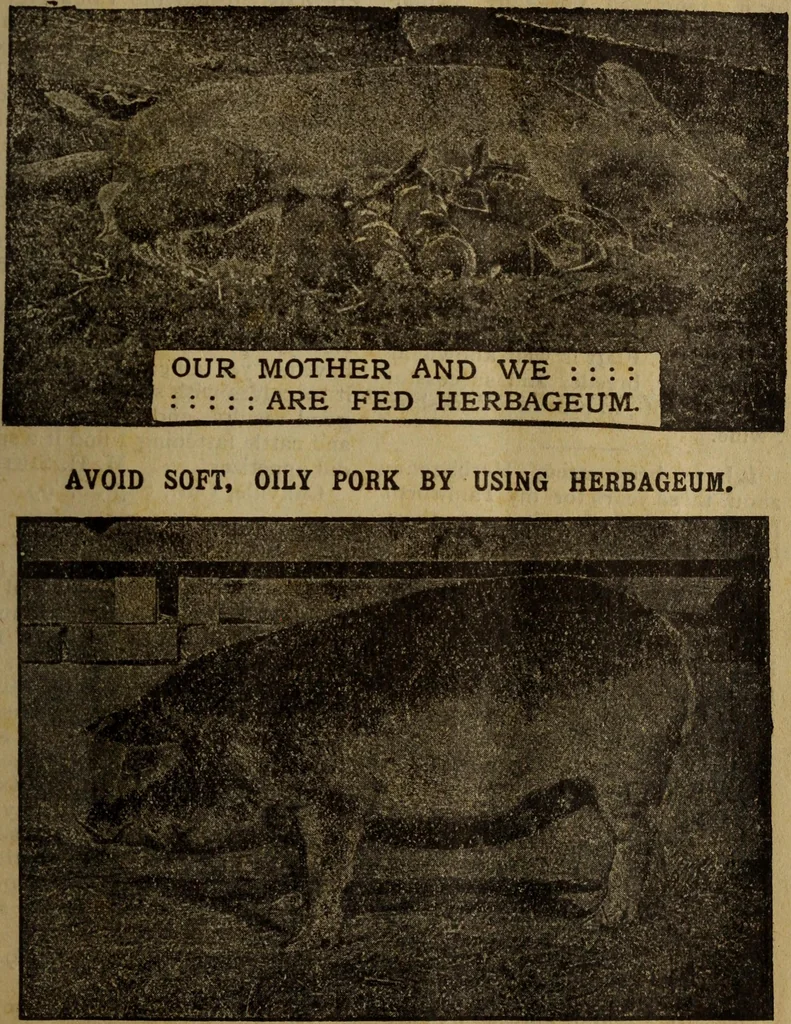 An illustration from Take a pointer and give another., 1902, leaf 12
