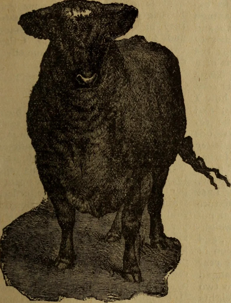 An illustration from Take a pointer and give another., 1902, leaf 18