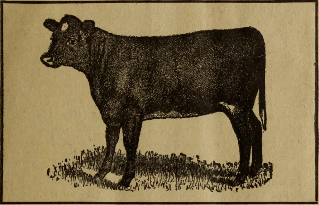An illustration from Take a pointer and give another., 1902, leaf 4