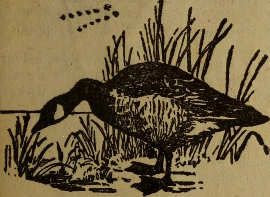 An illustration from Take a pointer and give another., 1902, leaf 56