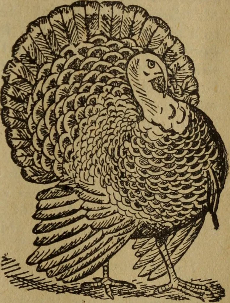 An illustration from Take a pointer and give another., 1902, leaf 56