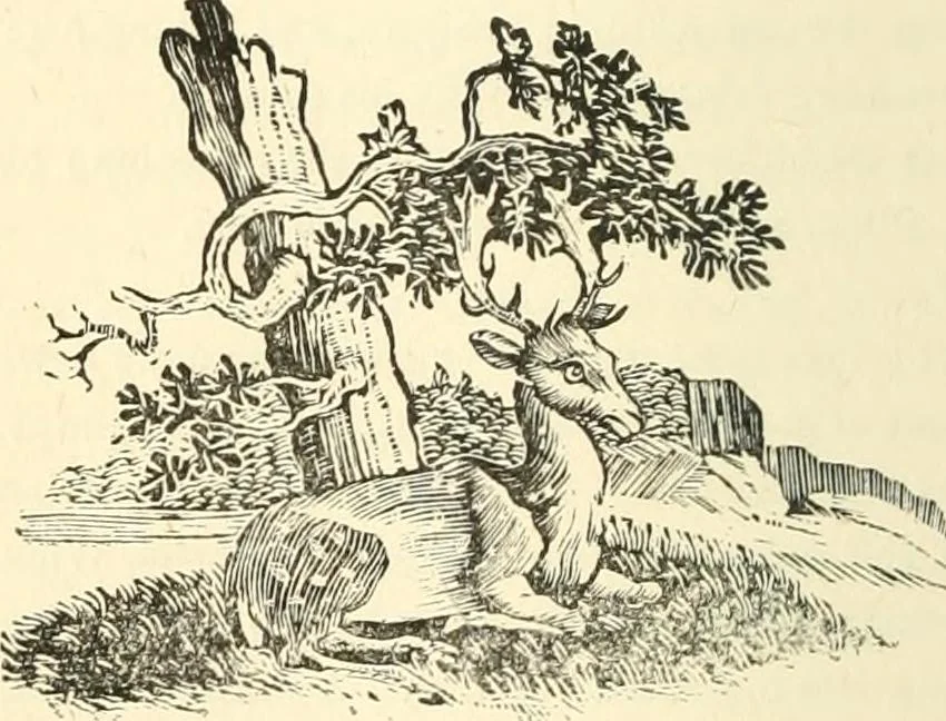 An illustration from Tales, poems and Masonic papers, 1877, leaf 45