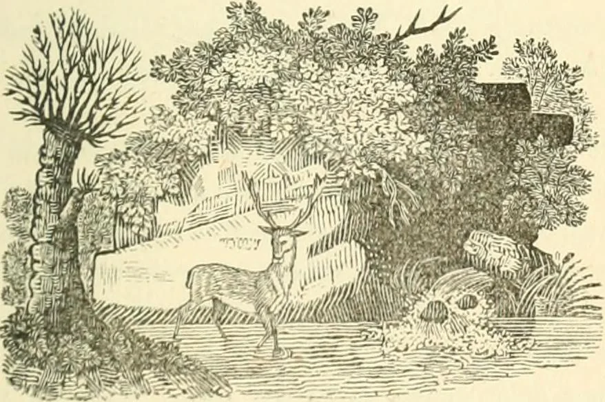 An illustration from Tales, poems and Masonic papers, 1877, leaf 80