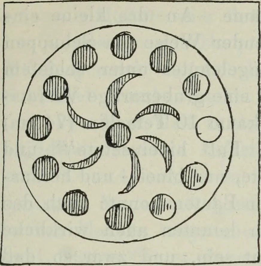 An illustration from Talmudische Archäologie, 1910, leaf 62