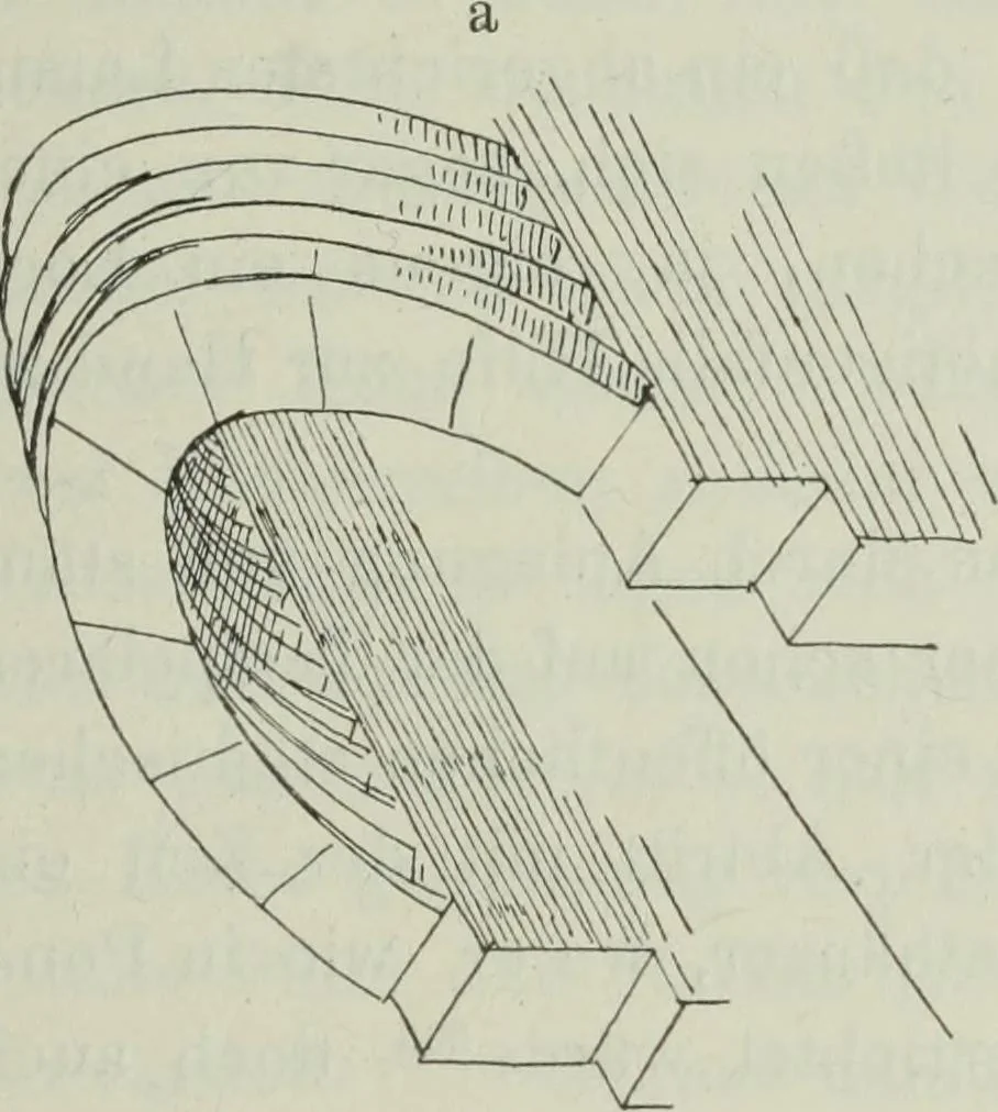 An illustration from Talmudische Archäologie, 1910, leaf 66