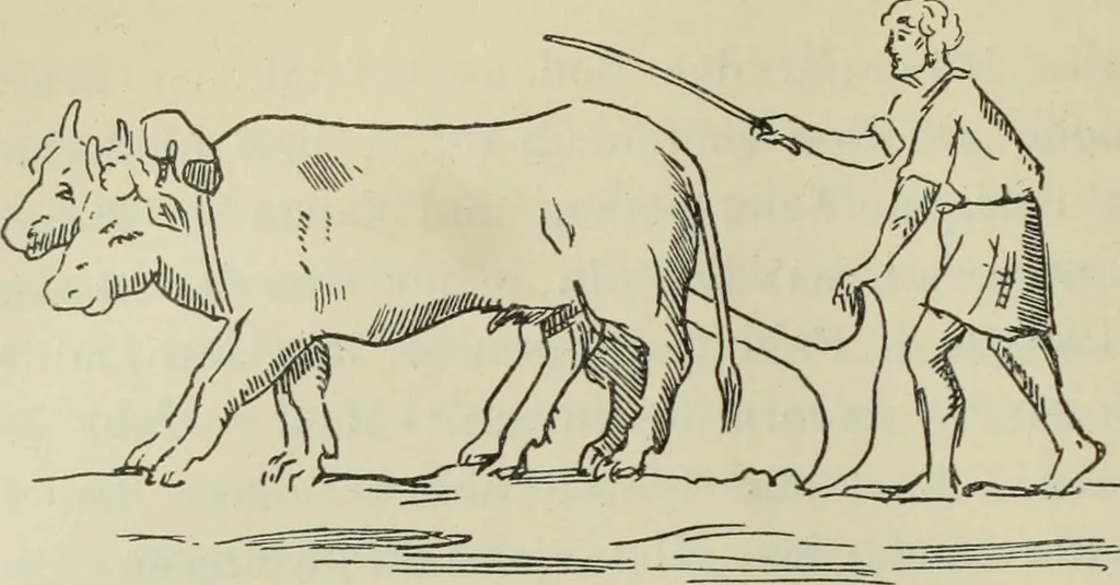 An illustration from Talmudische Archäologie, 1910, leaf 183