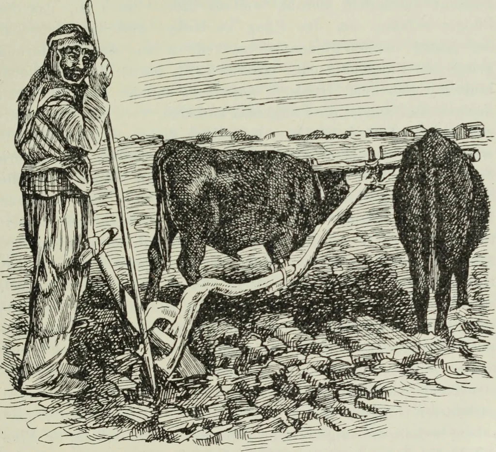An illustration from Talmudische Archäologie, 1910, leaf 184