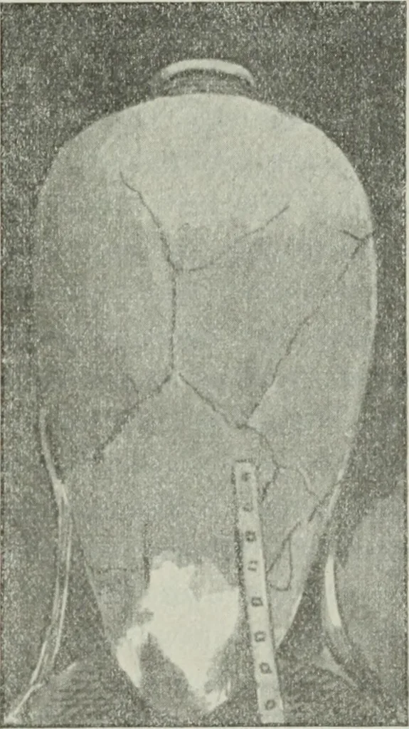 An illustration from Talmudische Archäologie, 1910, leaf 210