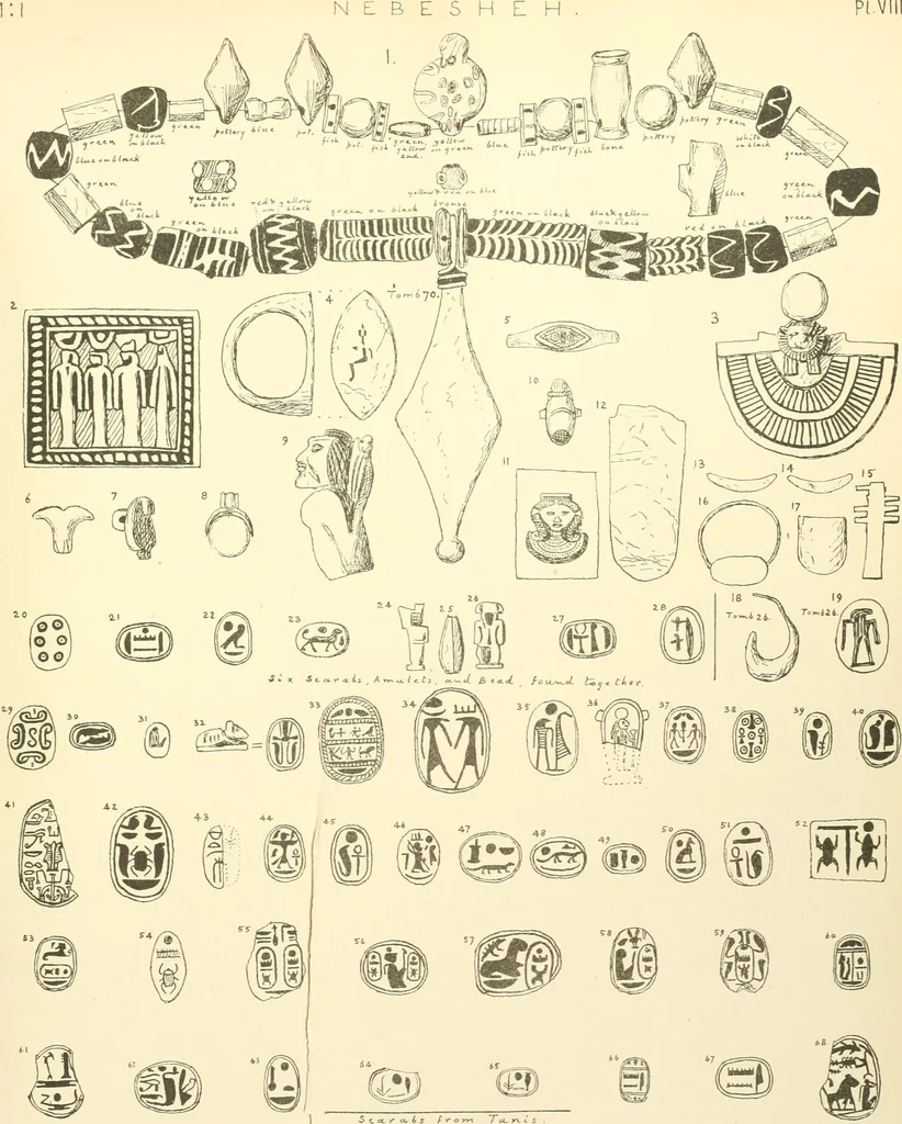 An illustration from Tanis, 1885, leaf 216