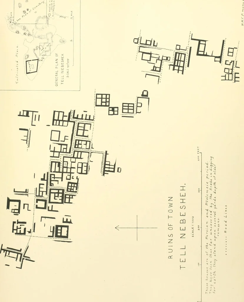 An illustration from Tanis, 1885, leaf 234