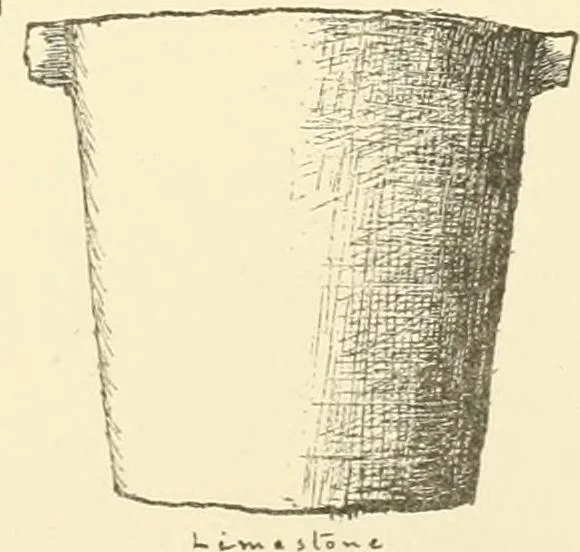 An illustration from Tanis, 1885, leaf 238