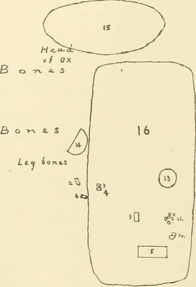 An illustration from Tanis, 1885, leaf 246