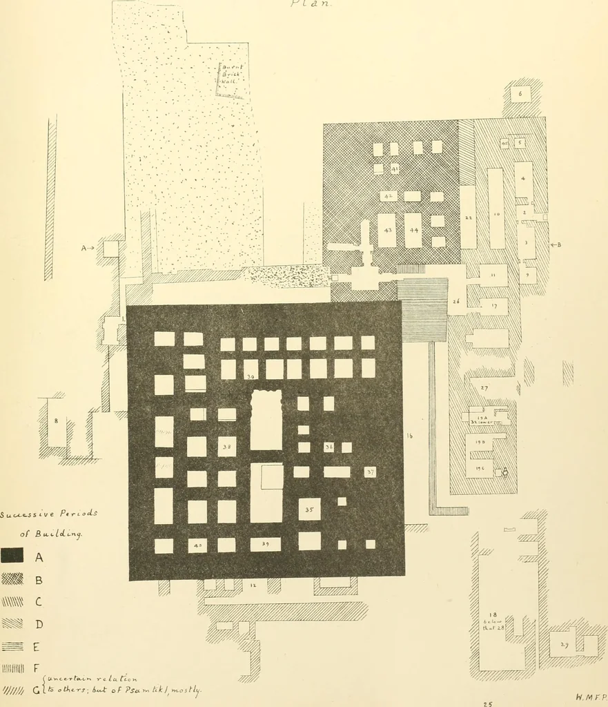 An illustration from Tanis, 1885, leaf 288