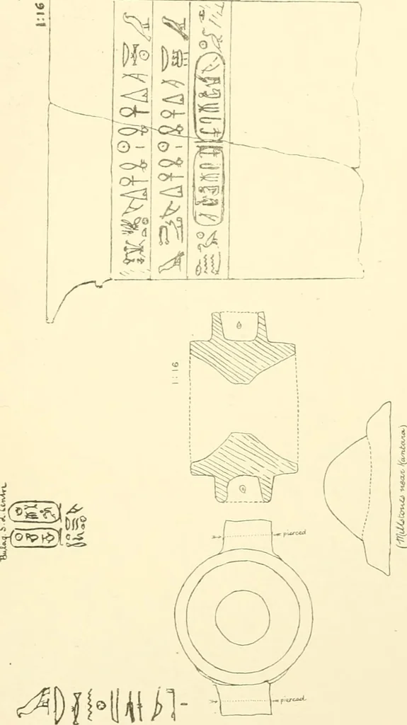 An illustration from Tanis, 1885, leaf 302