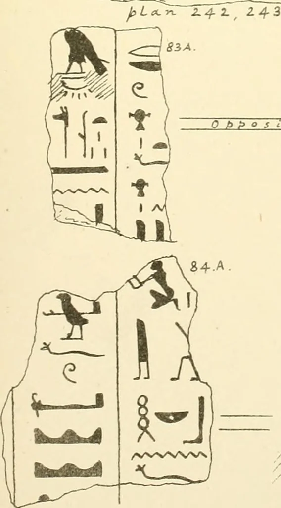 An illustration from Tanis, 1885, leaf 56