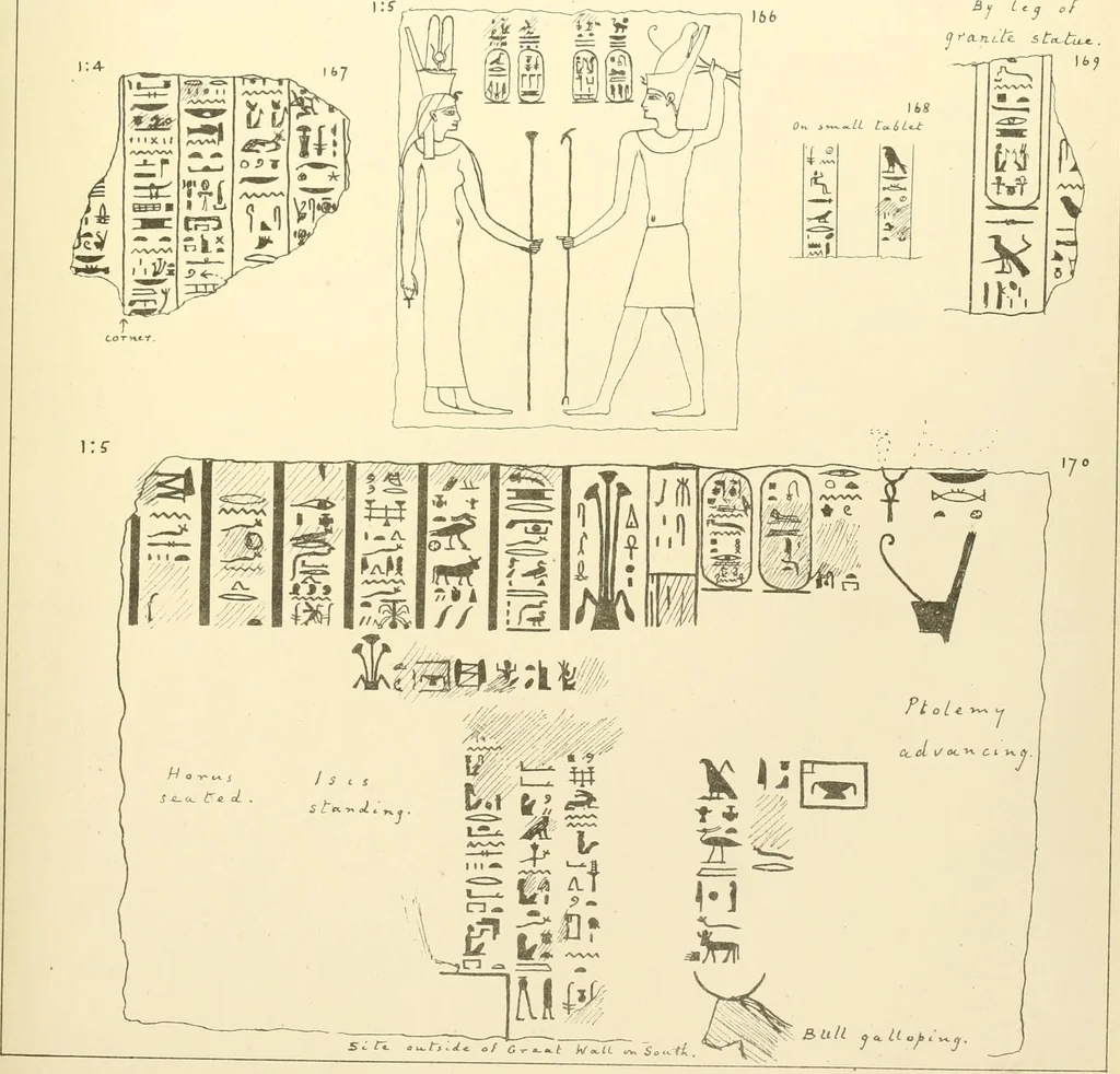 An illustration from Tanis, 1885, leaf 70
