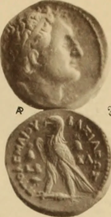An illustration from Ta nomismata tou kratous ton Ptolemaion, 1904, leaf 100