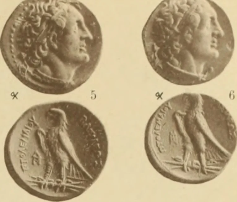 An illustration from Ta nomismata tou kratous ton Ptolemaion, 1904, leaf 24