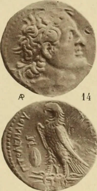 An illustration from Ta nomismata tou kratous ton Ptolemaion, 1904, leaf 36