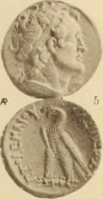 An illustration from Ta nomismata tou kratous ton Ptolemaion, 1904, leaf 4