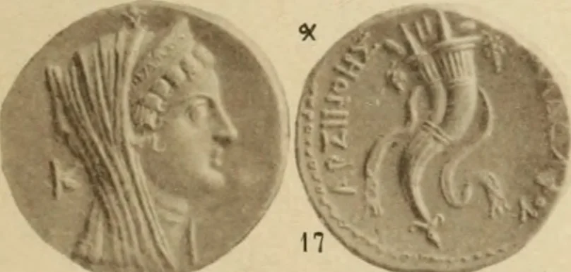 An illustration from Ta nomismata tou kratous ton Ptolemaion, 1904, leaf 4