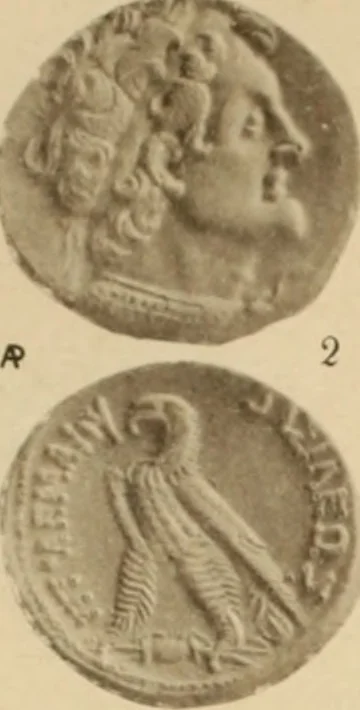 An illustration from Ta nomismata tou kratous ton Ptolemaion, 1904, leaf 4