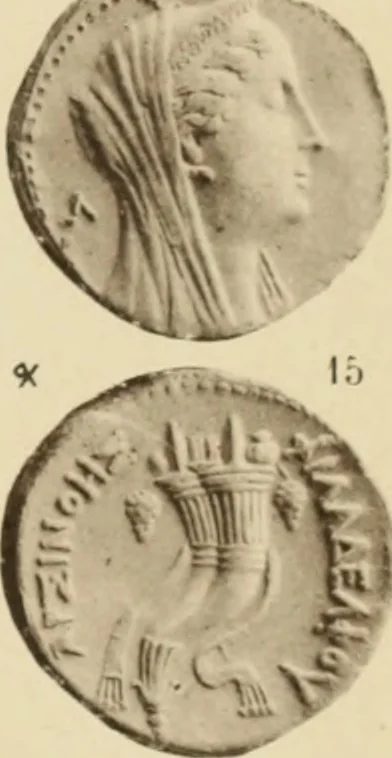 An illustration from Ta nomismata tou kratous ton Ptolemaion, 1904, leaf 40
