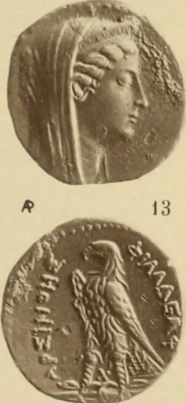 An illustration from Ta nomismata tou kratous ton Ptolemaion, 1904, leaf 42