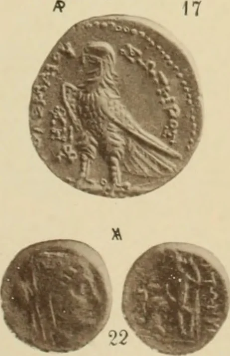An illustration from Ta nomismata tou kratous ton Ptolemaion, 1904, leaf 46