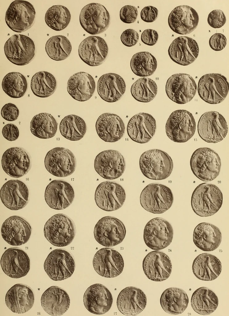 An illustration from Ta nomismata tou kratous ton Ptolemaion, 1904, leaf 48