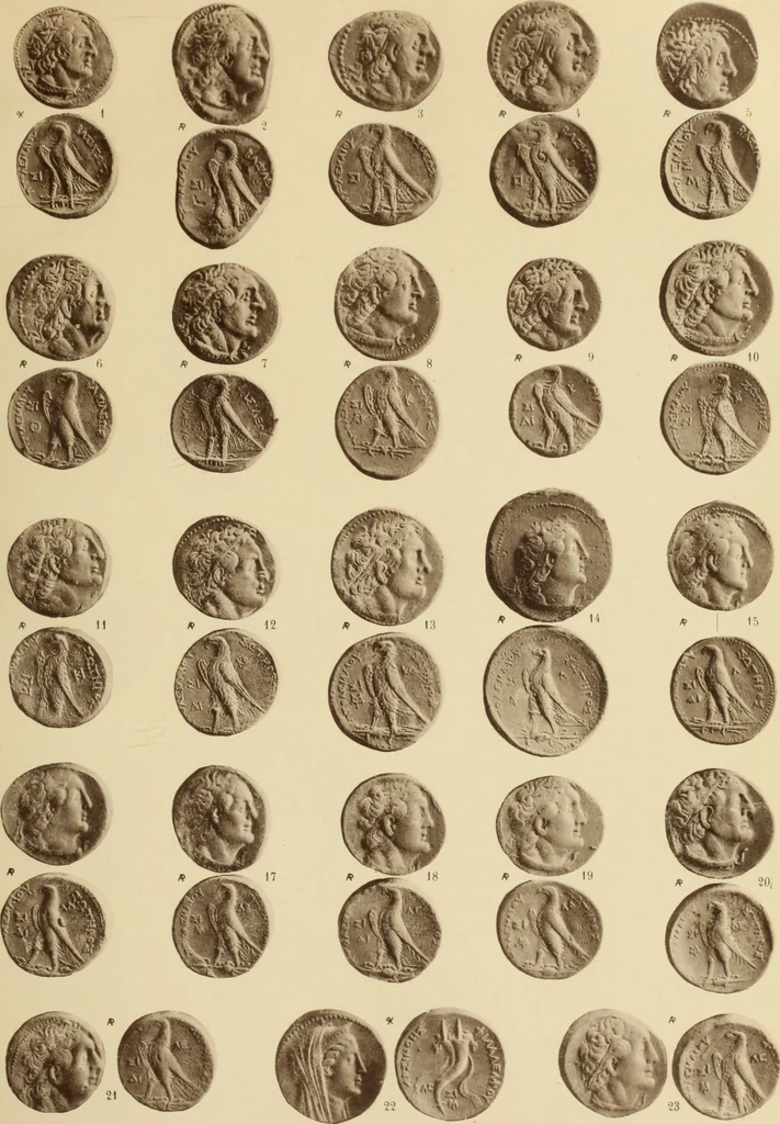An illustration from Ta nomismata tou kratous ton Ptolemaion, 1904, leaf 52