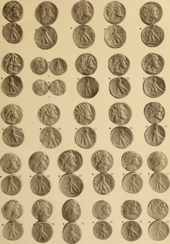 An illustration from Ta nomismata tou kratous ton Ptolemaion, 1904, leaf 6