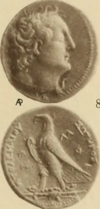 An illustration from Ta nomismata tou kratous ton Ptolemaion, 1904, leaf 60