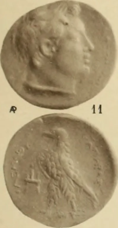An illustration from Ta nomismata tou kratous ton Ptolemaion, 1904, leaf 64