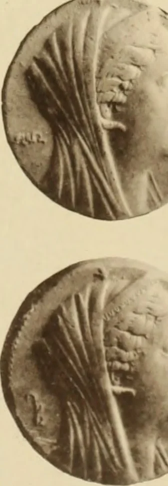 An illustration from Ta nomismata tou kratous ton Ptolemaion, 1904, leaf 66