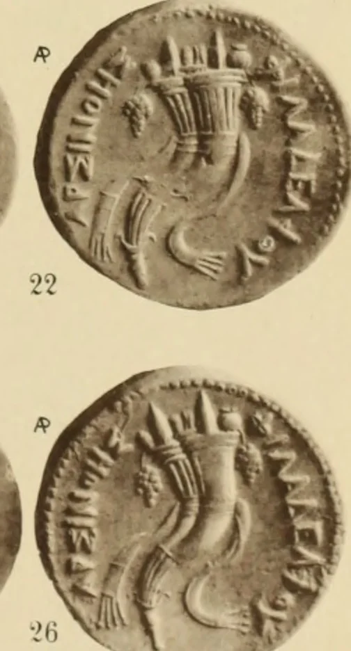 An illustration from Ta nomismata tou kratous ton Ptolemaion, 1904, leaf 66